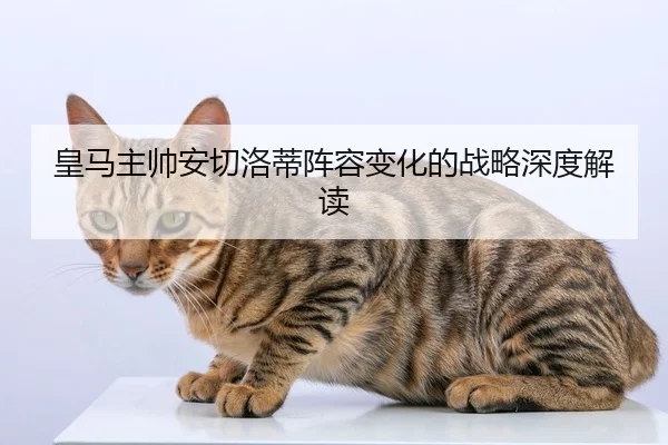 皇马主帅安切洛蒂阵容变化的战略深度解读